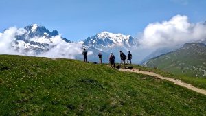 Tour du Mont Blanc alpine flowers