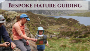Guided nature walks in Wales